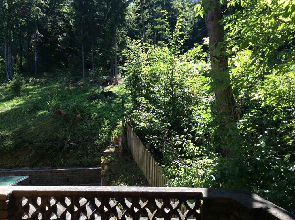 Hotel Desiree - Garni - Adults Only